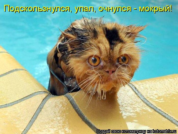 Котоматрица: Подскользнулся, упал, очнулся - мокрый!