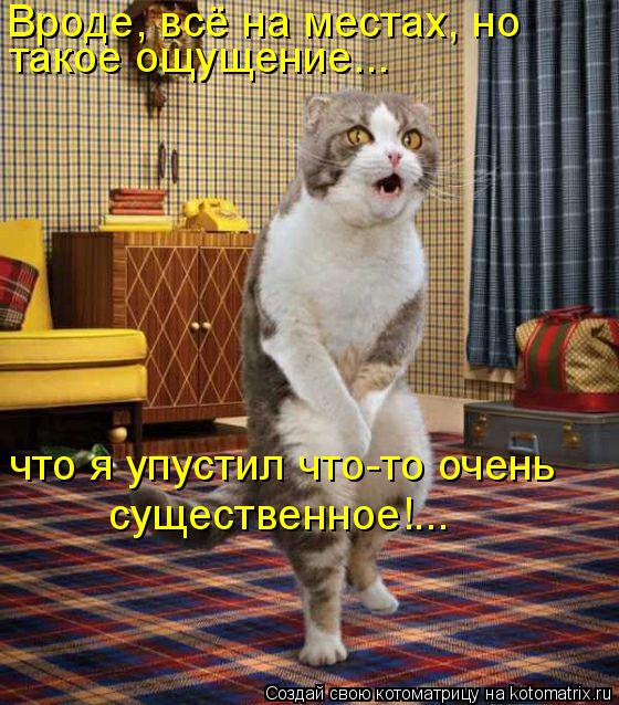 Котоматрица: Вроде, всё на местах, но такое ощущение...  что я упустил что-то очень существенное!...