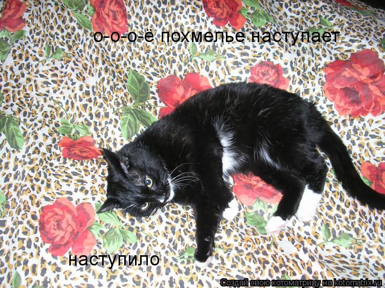 о-о-о-ё похмелье наступает наступило... Котоматрица: о-о-о-ё похмелье наступает наступило