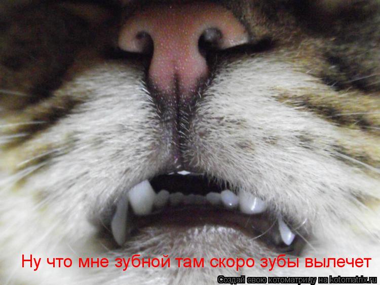 Котоматрица: Ну что мне зубной там скоро зубы вылечет