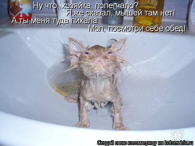 Котоматрица: Ну что, хозяйка, полегчало? Я же сказал, мышей там нет! А ты меня туда пихала Мол, посмотри себе обед!
