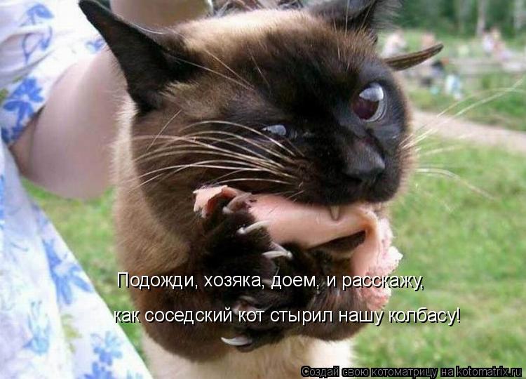 Котоматрица: Подожди, хозяка, доем, и расскажу, как соседский кот стырил нашу колбасу!