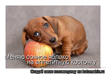 Котоматрица: Меняю сочное яблоко  на аппетитную косточку