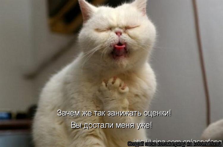 Котоматрица: Зачем же так занижать оценки! Вы достали меня уже!