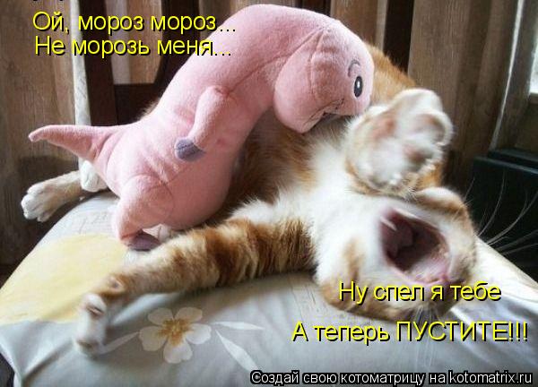 Котоматрица: Ой, мороз мороз... Не морозь меня... Ну спел я тебе А теперь ПУСТИТЕ!!!