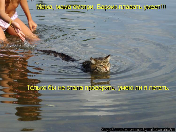 Мама, мама смотри, Барсик плавать умеет!!! Только бы не стала проверять, умею ли я летать.... Котоматрица: Мама, мама смотри, Барсик плавать умеет!!! Только бы не стала проверять, умею ли я летать.