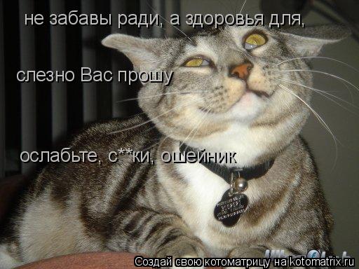 не забавы ради, а здоровья для, слезно Вас прошу ослабьте, с**ки, ошейник... Котоматрица: не забавы ради, а здоровья для, слезно Вас прошу ослабьте, с**ки, ошейник