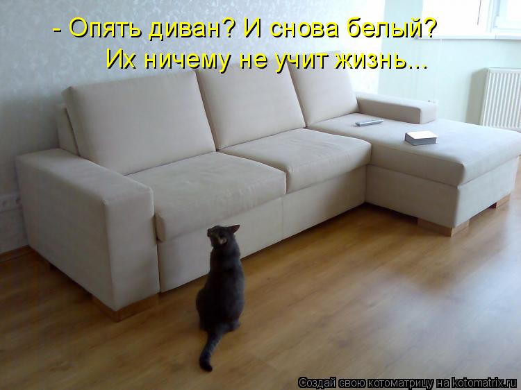 - Опять диван? И снова белый? Их ничему не учит жизнь...... Котоматрица: - Опять диван? И снова белый? Их ничему не учит жизнь...