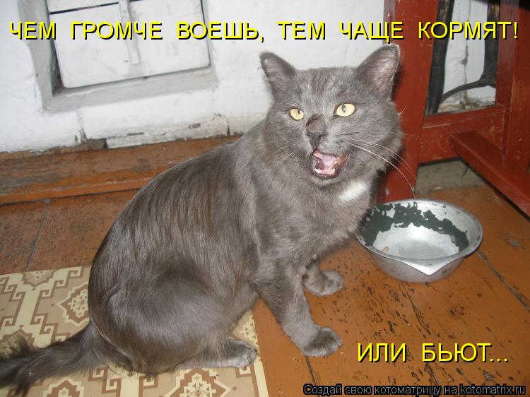 ЧЕМ ГРОМЧЕ ВОЕШЬ, ТЕМ ЧАЩЕ КОРМЯТ! ИЛИ БЬЮТ...... Котоматрица: ЧЕМ ГРОМЧЕ ВОЕШЬ, ТЕМ ЧАЩЕ КОРМЯТ! ИЛИ БЬЮТ...