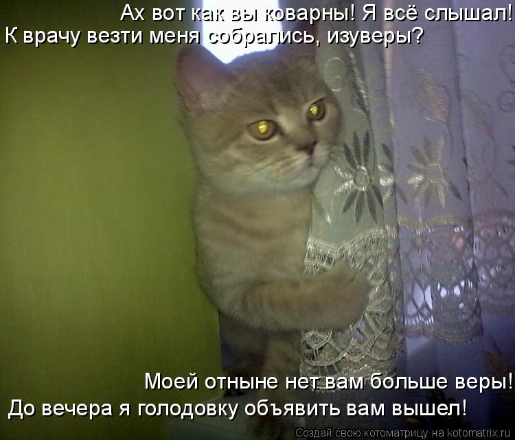 Ах вот как вы коварны! Я всё слышал! К врачу везти меня собрались, изуверы? До вечера я голодовку объ... Котоматрица: Ах вот как вы коварны! Я всё слышал! К врачу везти меня собрались, изуверы? До вечера я голодовку объявить вам вышел! Моей отныне нет вам боль