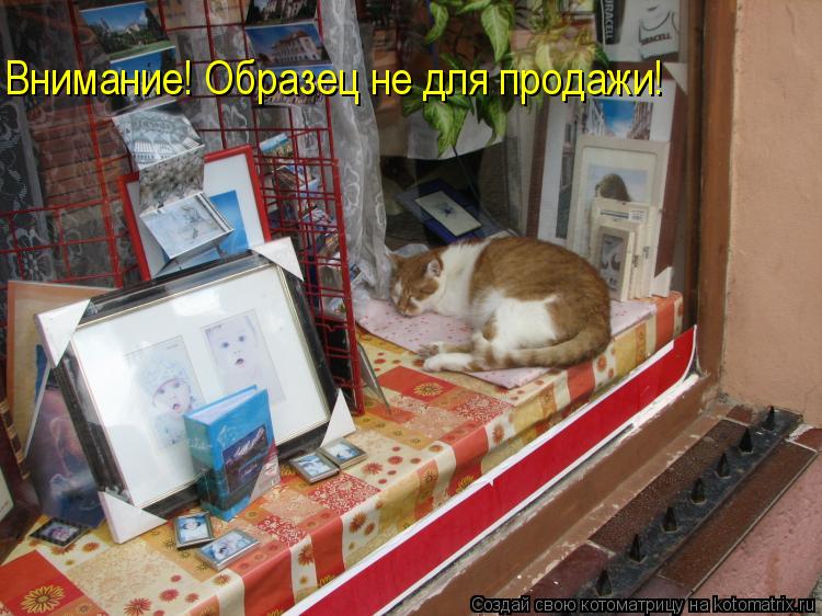 Внимание! Образец не для продажи!... Котоматрица: Внимание! Образец не для продажи!