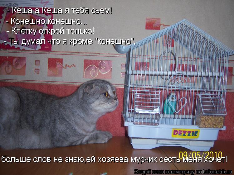 - Кеша а Кеша я тебя сьем! - Конешно,конешно... - Клетку открой только! - Ты думал что я кроме "конеш... Котоматрица: - Кеша а Кеша я тебя сьем! - Конешно,конешно... - Клетку открой только! - Ты думал что я кроме "конешно", больше слов не знаю,ей хозяева мурчик сес