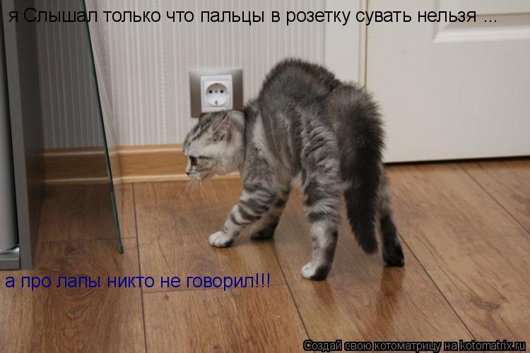 Котоматрица: я Слышал только что пальцы в розетку сувать нельзя а про лапы никто не говорил!!! ...