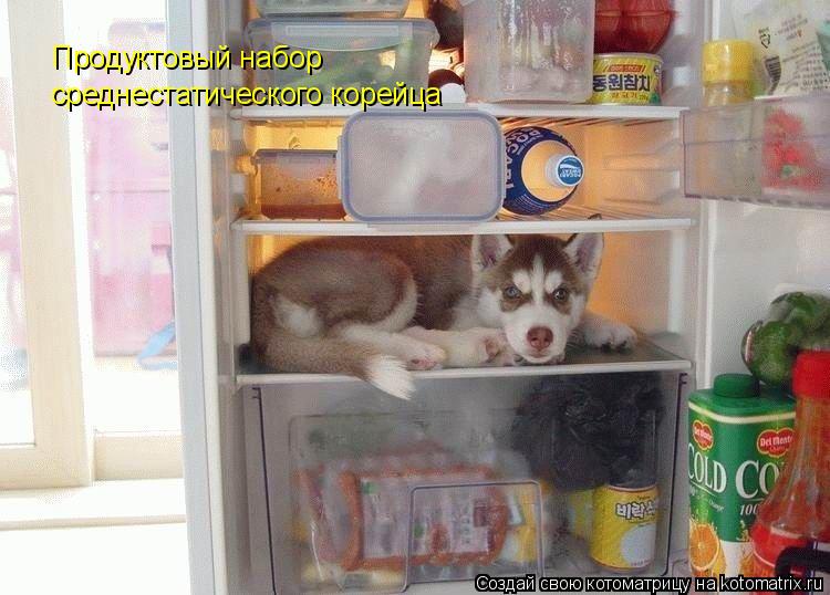 Котоматрица: Продуктовый набор среднестатического корейца