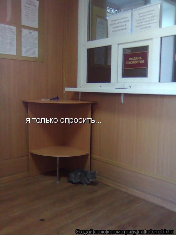 Котоматрица: я только спросить...
