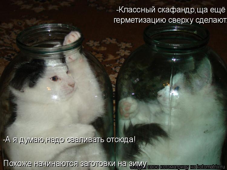 Котоматрица: -А я думаю,надо сваливать отсюда! герметизацию сверху сделают... -Классный скафандр,ща ещё  Похоже начинаются заготовки на зиму