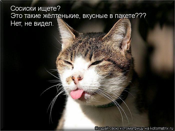 Котоматрица: Сосиски ищете? Это такие жёлтенькие, вкусные в пакете??? Нет, не видел.