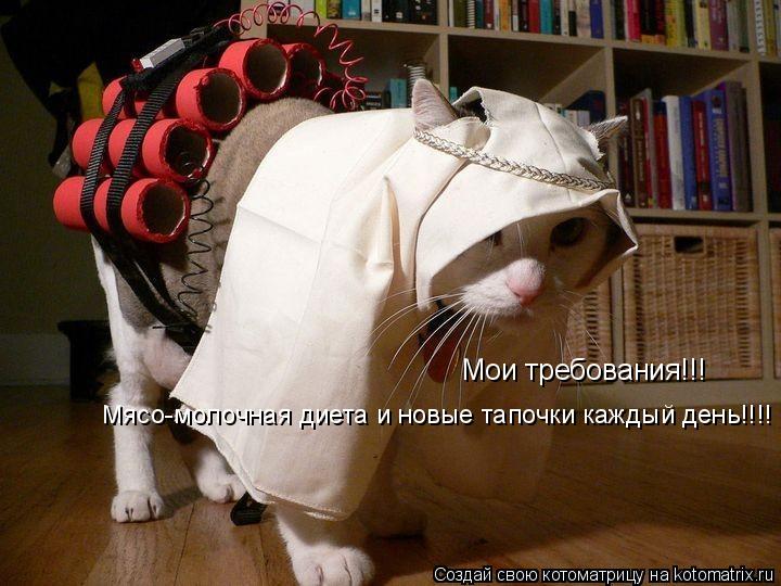 Мои требования!!! Мясо-молочная диета и новые тапочки каждый день!!!!... Котоматрица: Мои требования!!! Мясо-молочная диета и новые тапочки каждый день!!!!