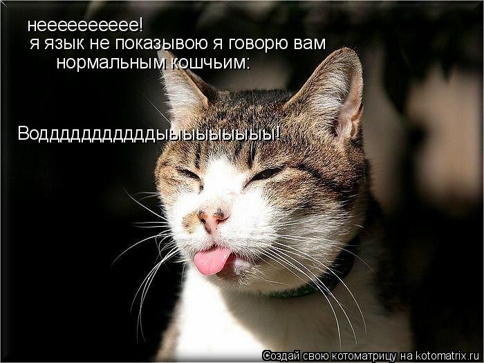 нееееееееее! Водддддддддддыыыыыыыыы! я язык не показывою я говорю вам нормальным кошчьим:... Котоматрица: нееееееееее! Водддддддддддыыыыыыыыы! я язык не показывою я говорю вам нормальным кошчьим: