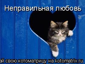 Неправильная любовь... Котоматрица: Неправильная любовь