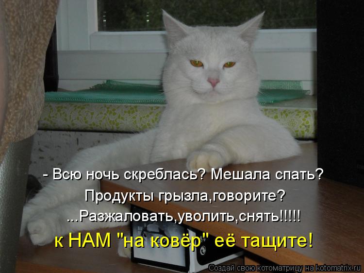 - Всю ночь скреблась? Мешала спать? Продукты грызла,говорите? ...Разжаловать,уволить,снять!!!!! к НАМ... Котоматрица: - Всю ночь скреблась? Мешала спать? Продукты грызла,говорите? ...Разжаловать,уволить,снять!!!!! к НАМ "на ковёр" её тащите!