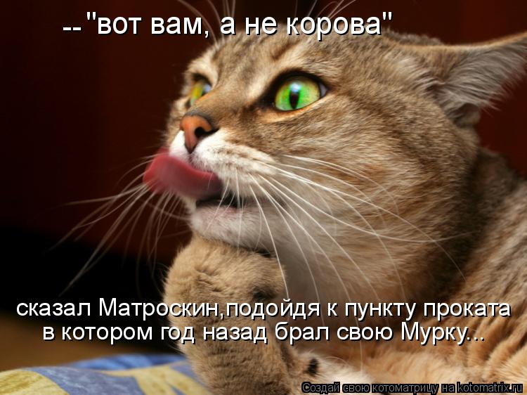 "вот вам, а не корова" -- сказал Матроскин,подойдя к пункту проката в котором год назад брал свою Мур... Котоматрица: "вот вам, а не корова" -- сказал Матроскин,подойдя к пункту проката в котором год назад брал свою Мурку...