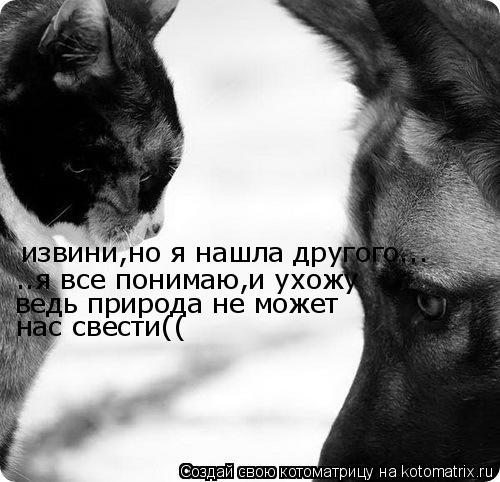 Котоматрица: извини,но я нашла другого...    ..я все понимаю,и ухожу ведь природа не может нас свести((