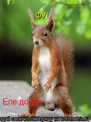 Котоматрица: ФУ! Еле донёс