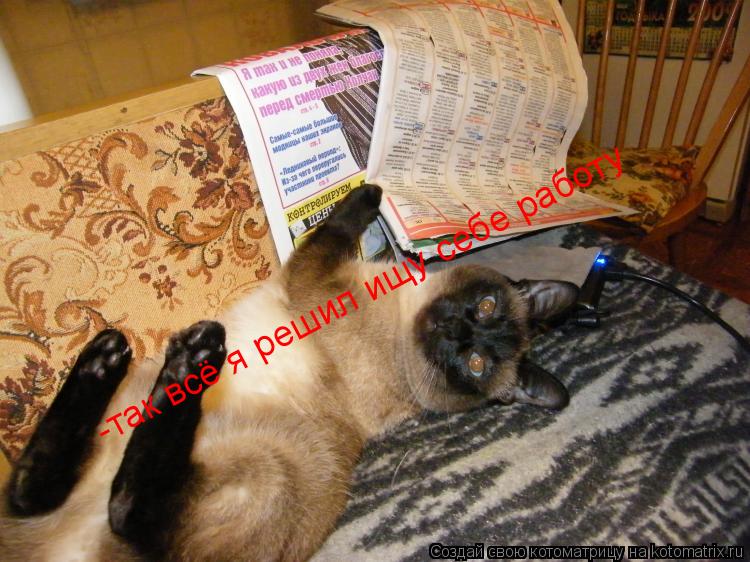Котоматрица: -так всё я решил ищу себе работу