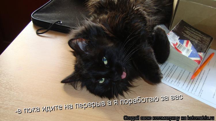 Котоматрица: -в пока идите на перерыв а я поработаю за вас