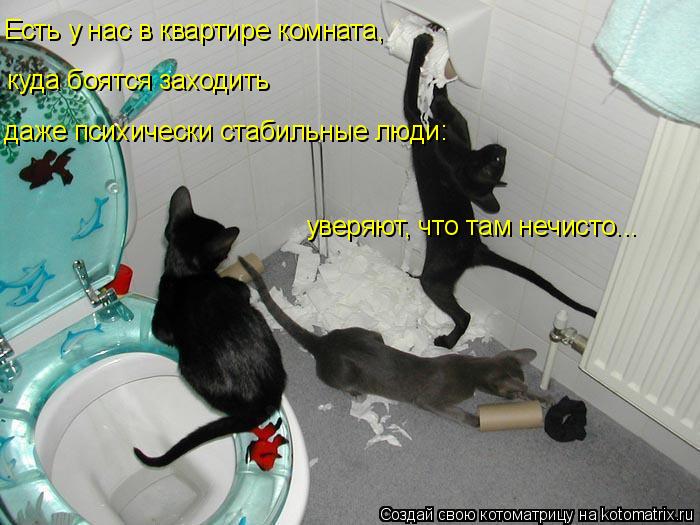 Котоматрица: Есть у нас в квартире комната, куда боятся заходить даже психически стабильные люди: уверяют, что там нечисто...