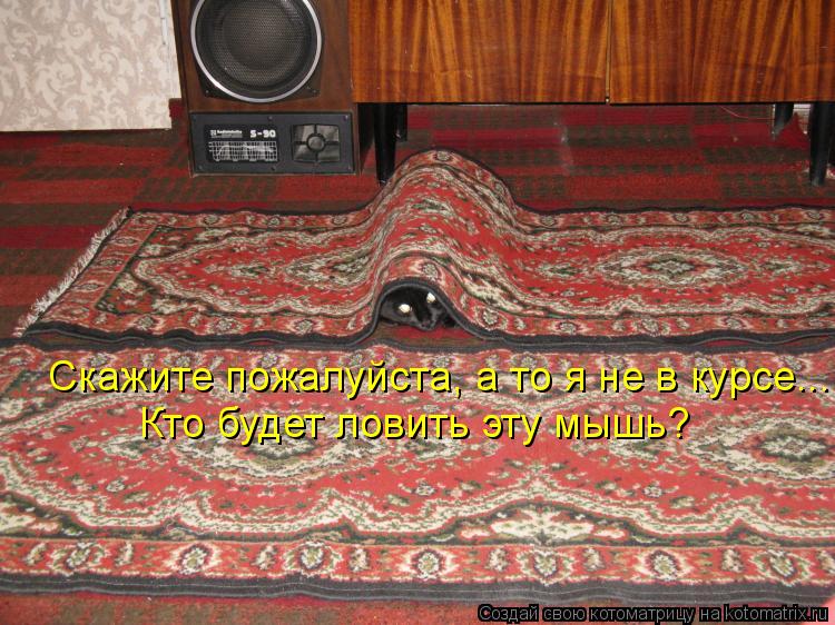 Кто будет ловить эту мышь? Скажите пожалуйста, а то я не в курсе...... Котоматрица: Кто будет ловить эту мышь? Скажите пожалуйста, а то я не в курсе...
