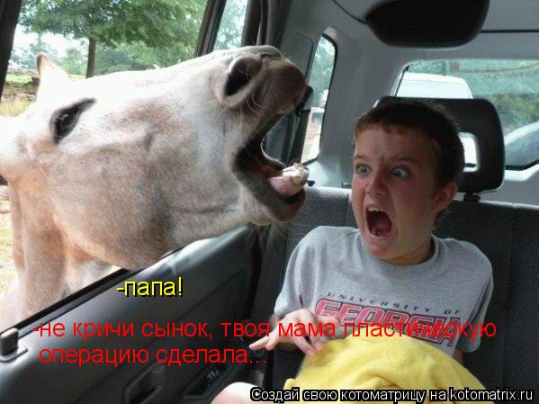Котоматрица: -папа! -не кричи сынок, твоя мама пластическую операцию сделала...