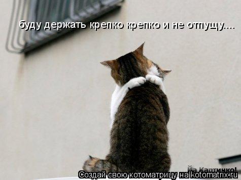 буду держать крепко крепко и не отпущу....... Котоматрица: буду держать крепко крепко и не отпущу....