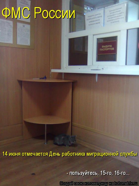 ФМС России 14 июня отмечается День работника миграционной службы - пользуйтесь, 15-го, 16-го...... Котоматрица: ФМС России 14 июня отмечается День работника миграционной службы - пользуйтесь, 15-го, 16-го...