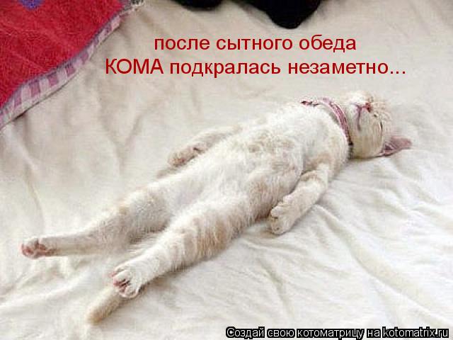 после сытного обеда КОМА подкралась незаметно...... Котоматрица: после сытного обеда КОМА подкралась незаметно...