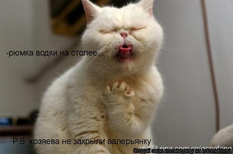 -рюмка водки на столее... P.S. хозяева не закрыли валерьянку... Котоматрица: -рюмка водки на столее... P.S. хозяева не закрыли валерьянку