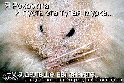 Котоматрица: Я Рохомяка И пусть эта тупая Мурка... Ну а дальше вы знаете...