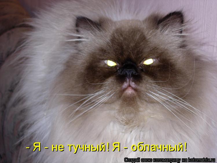 - Я - не тучный! Я - облачный!... Котоматрица: - Я - не тучный! Я - облачный!