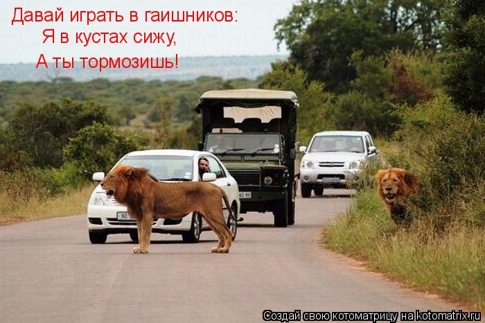 Давай играть в гаишников: Я в кустах сижу, А ты тормозишь!... Котоматрица: Давай играть в гаишников: Я в кустах сижу, А ты тормозишь!