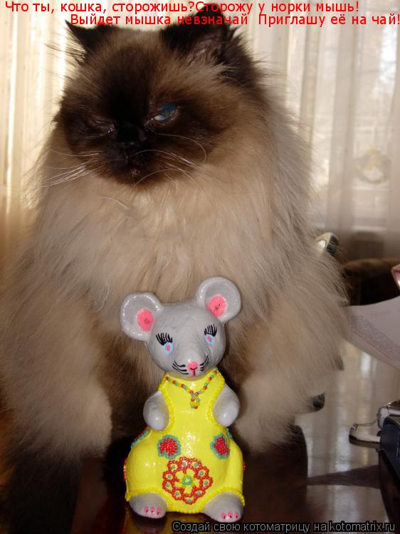 Котоматрица: Что ты, кошка, сторожишь?Сторожу у норки мышь!   Выйдет мышка невзначай  Приглашу её на чай!