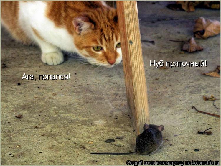 Котоматрица: Ага, попался! Нуб пряточный!
