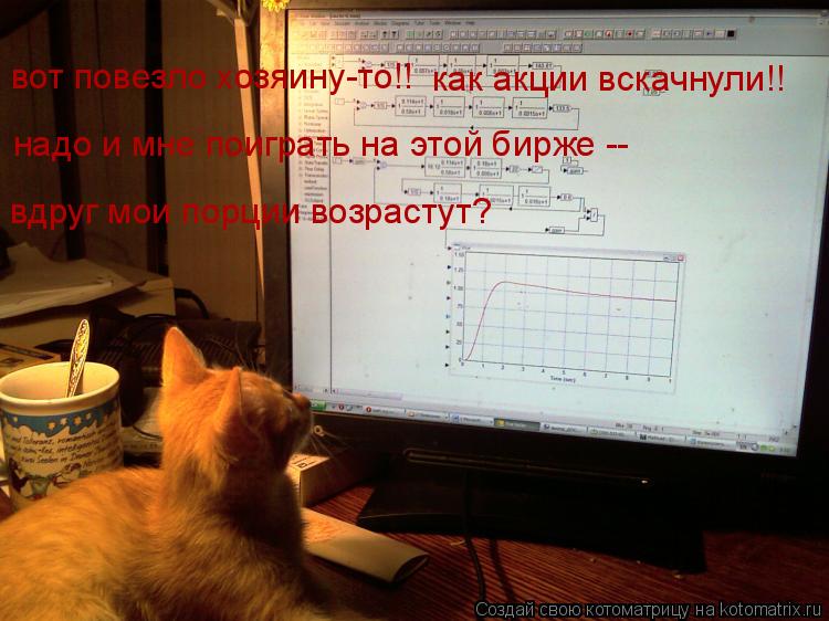 Котоматрица: вот повезло хозяину-то!! надо и мне поиграть на этой бирже -- вдруг мои порции возрастут? как акции вскачнули!!