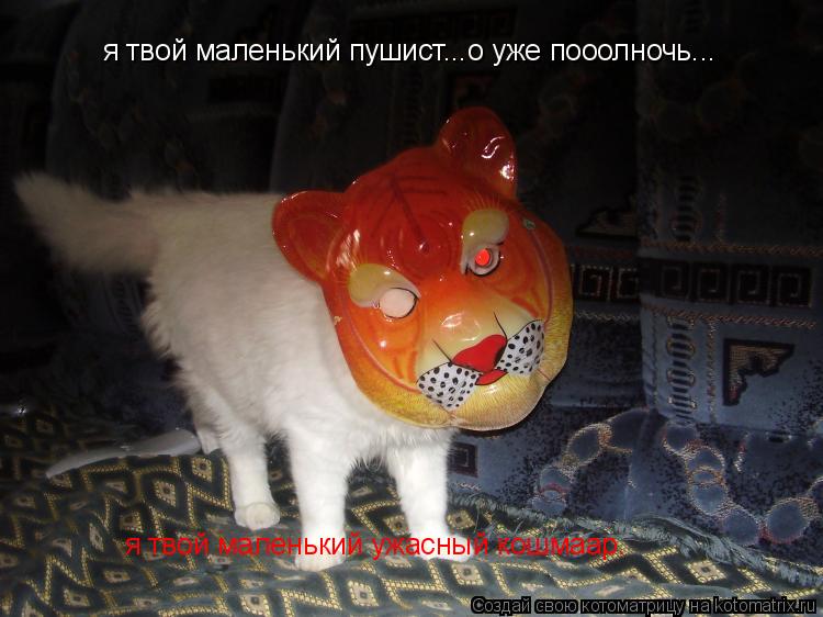 Котоматрица: я твой маленький пушист...о уже пооолночь... я твой маленький ужасный кошмаар.