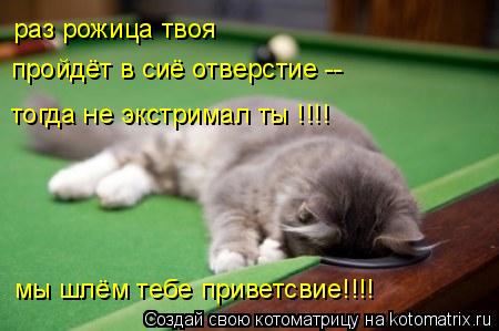 Котоматрица: раз рожица твоя пройдёт в сиё отверстие --  тогда не экстримал ты !!!! мы шлём тебе приветсвие!!!!