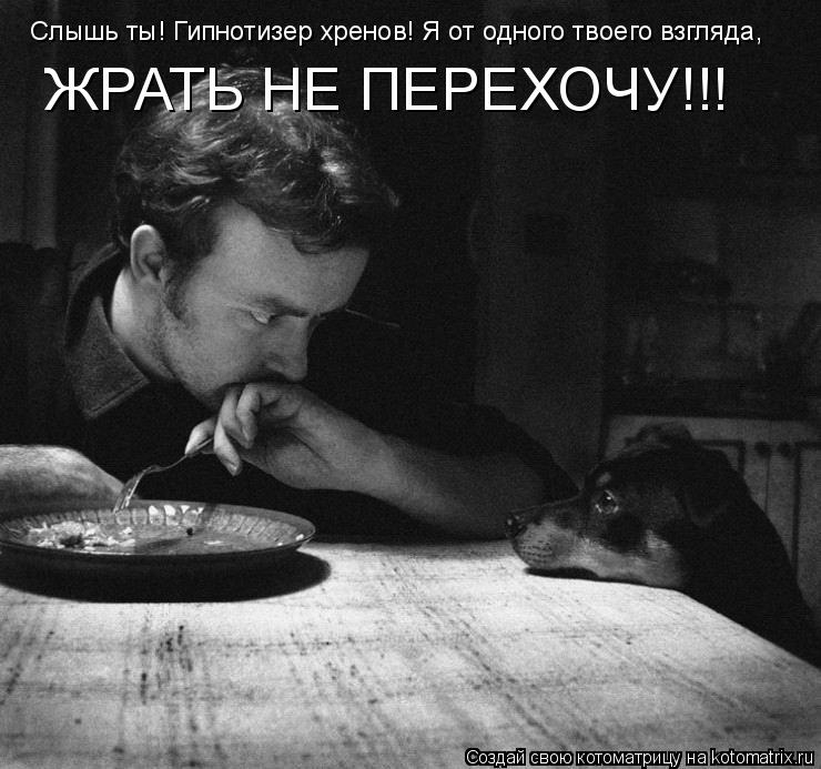 Котоматрица: Слышь ты! Гипнотизер хренов! Я от одного твоего взгляда, ЖРАТЬ НЕ ПЕРЕХОЧУ!!!
