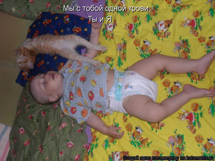 Котоматрица: Мы с тобой одной крови Ты и Я