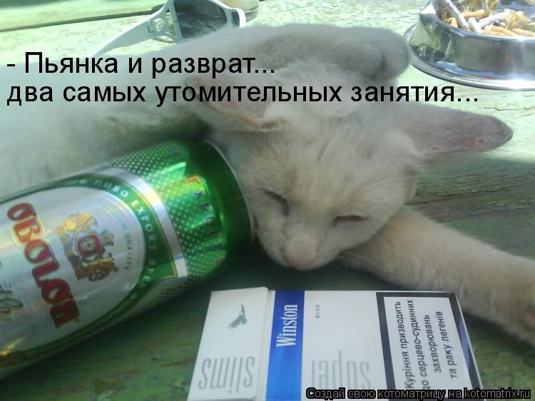 Котоматрица: - Пьянка и разврат... два самых утомительных занятия...