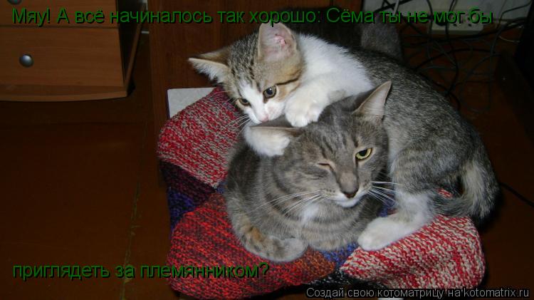 Котоматрица: Мяу! А всё начиналось так хорошо: Сёма ты не мог бы  приглядеть за племянником?