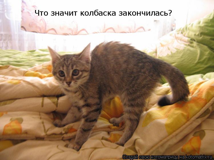 Котоматрица: Что значит колбаска закончилась?